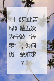 《只此青绿》第五次为宁波“淬墨”，为何仍一票难求？