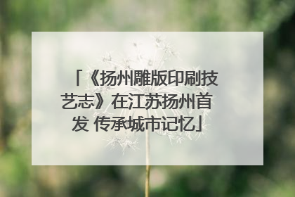《扬州雕版印刷技艺志》在江苏扬州首发 传承城市记忆