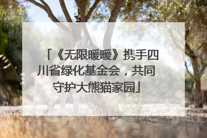 《无限暖暖》携手四川省绿化基金会，共同守护大熊猫家园