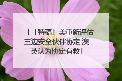 「特稿」美重新评估三边安全伙伴协定 澳英认为协定有救