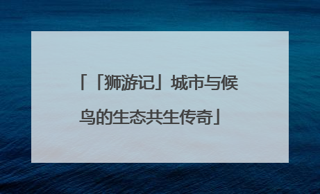 「狮游记」城市与候鸟的生态共生传奇