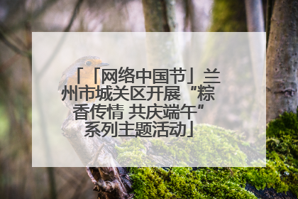 「网络中国节」兰州市城关区开展“粽香传情 共庆端午”系列主题活动