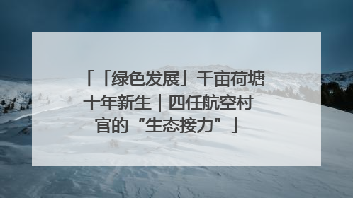 「绿色发展」千亩荷塘 十年新生｜四任航空村官的“生态接力”