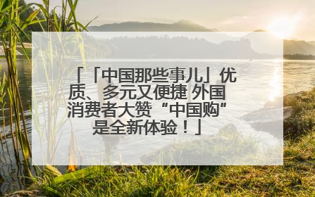 「中国那些事儿」优质、多元又便捷 外国消费者大赞“中国购”是全新体验！