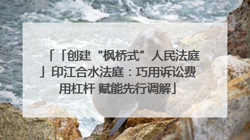 「创建“枫桥式”人民法庭」印江合水法庭：巧用诉讼费用杠杆 赋能先行调解