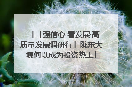 「强信心 看发展·高质量发展调研行」陇东大塬何以成为投资热土