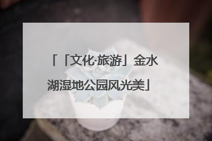 「文化·旅游」金水湖湿地公园风光美