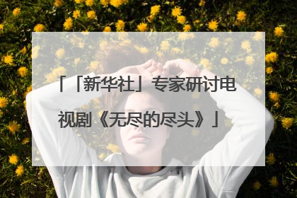 「新华社」专家研讨电视剧《无尽的尽头》