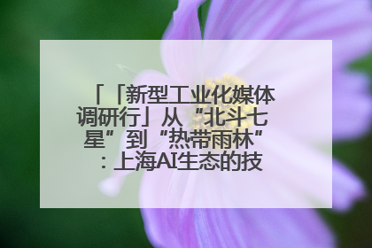 「新型工业化媒体调研行」从“北斗七星”到“热带雨林”：上海AI生态的技术商业共生密码