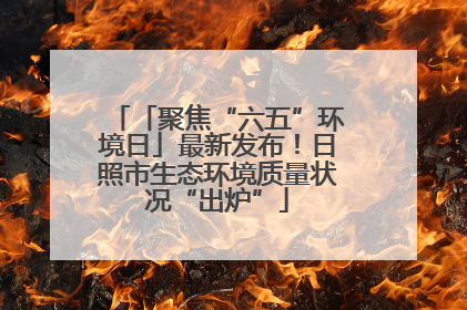 「聚焦“六五”环境日」最新发布！日照市生态环境质量状况“出炉”