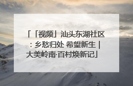 「视频」汕头东湖社区：乡愁归处 希望新生｜大美岭南·百村焕新记