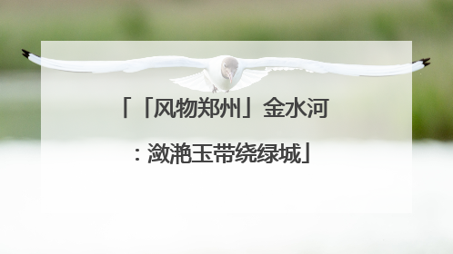 「风物郑州」金水河：潋滟玉带绕绿城