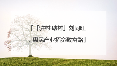 「驻村·助村」刘同旺：惠民产业拓宽致富路