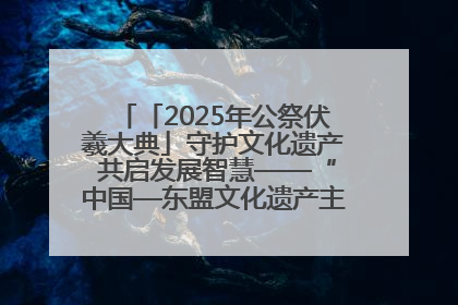 「2025年公祭伏羲大典」守护文化遗产 共启发展智慧——“中国—东盟文化遗产主题对话”侧记