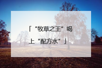 “牧草之王”喝上“配方水”