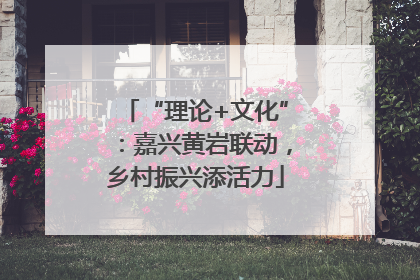 “理论+文化”：嘉兴黄岩联动，乡村振兴添活力