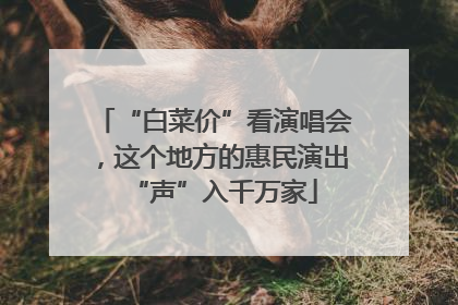 “白菜价”看演唱会，这个地方的惠民演出“声”入千万家