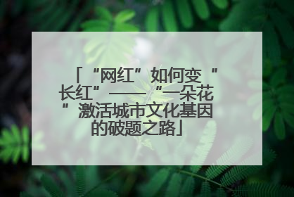 “网红”如何变“长红”——“一朵花”激活城市文化基因的破题之路