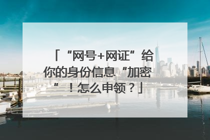 “网号+网证”给你的身份信息“加密”！怎么申领？