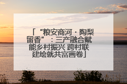 “粮安商河・陶梨留香”：三产融合赋能乡村振兴 跨村联建绘就共富画卷