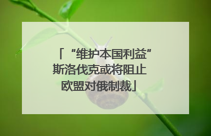 “维护本国利益” 斯洛伐克或将阻止欧盟对俄制裁