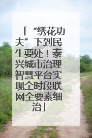 “绣花功夫”下到民生要处！泰兴城市治理智慧平台实现全时段联网全要素细治