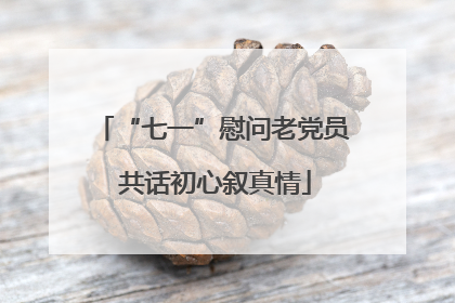 “七一”慰问老党员 共话初心叙真情