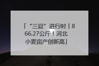 “三夏”进行时丨866.27公斤！河北小麦亩产创新高
