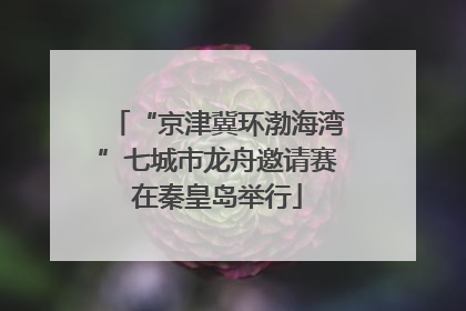 “京津冀环渤海湾”七城市龙舟邀请赛在秦皇岛举行