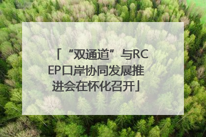 “双通道”与RCEP口岸协同发展推进会在怀化召开