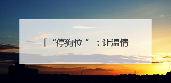 “停狗位 ”：让温情藏在 “方寸之间 ”