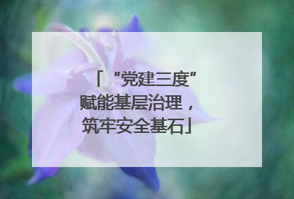 “党建三度”赋能基层治理，筑牢安全基石