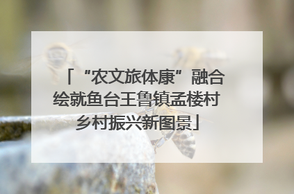 “农文旅体康”融合绘就鱼台王鲁镇孟楼村乡村振兴新图景