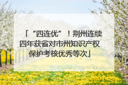 “四连优”！荆州连续四年获省对市州知识产权保护考核优秀等次