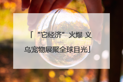“它经济”火爆 义乌宠物展聚全球目光