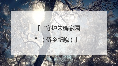 “守护朱鹮家园”（侨乡新貌）
