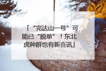 “完达山一号”可能已“脱单”！东北虎种群也有新喜讯