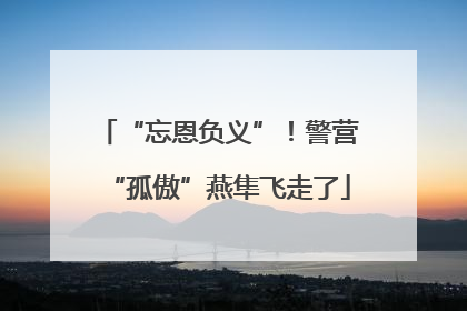 “忘恩负义”！警营“孤傲”燕隼飞走了