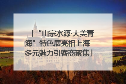 “山宗水源·大美青海”特色展亮相上海 多元魅力引客商聚焦