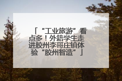 “工业旅游”看点多！外籍学生走进胶州李哥庄镇体验“胶州智造”