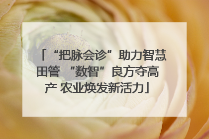 “把脉会诊”助力智慧田管 “数智”良方夺高产 农业焕发新活力