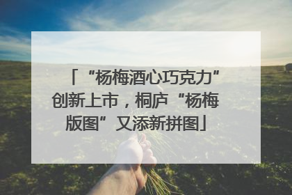 “杨梅酒心巧克力”创新上市，桐庐“杨梅版图”又添新拼图