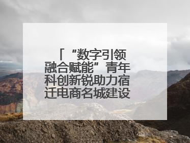 “数字引领 融合赋能”青年科创新锐助力宿迁电商名城建设活动成功举办
