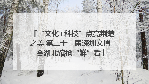 “文化+科技”点亮荆楚之美 第二十一届深圳文博会湖北馆抢“鲜”看