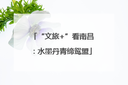 “文旅+”看南昌：水墨丹青缔鸳盟