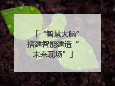“智慧大脑”搭建智能建造“未来现场”