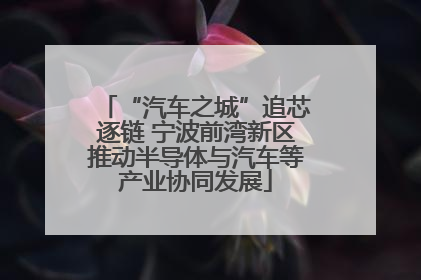 “汽车之城”追芯逐链 宁波前湾新区推动半导体与汽车等产业协同发展