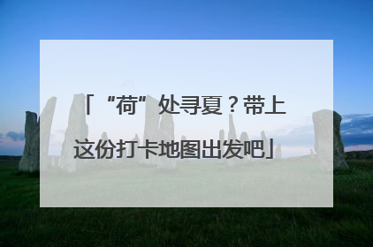 “荷”处寻夏？带上这份打卡地图出发吧