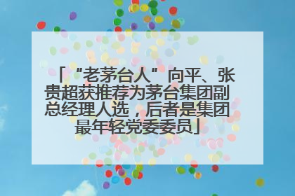 “老茅台人”向平、张贵超获推荐为茅台集团副总经理人选，后者是集团最年轻党委委员