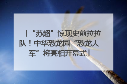 “苏超”惊现史前拉拉队！中华恐龙园“恐龙大军”将亮相开幕式